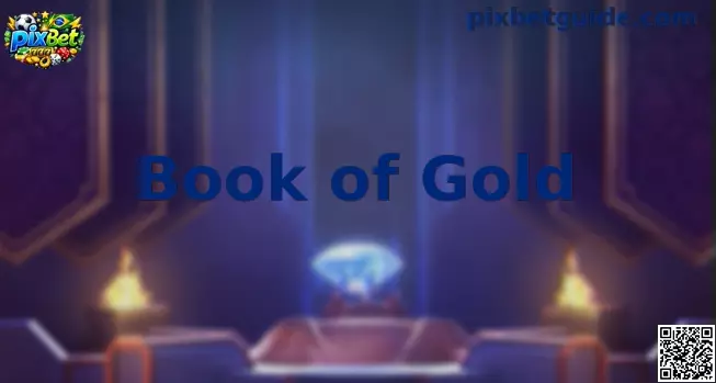 Book of Gold Slot Playson