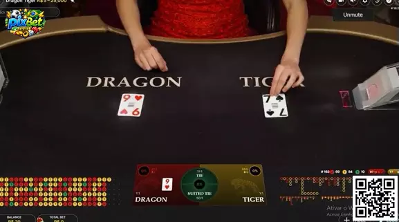 Dragon Tiger Banner